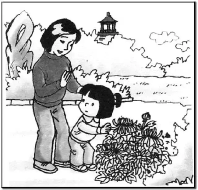 简短的篮球训练总结与反思作文_0